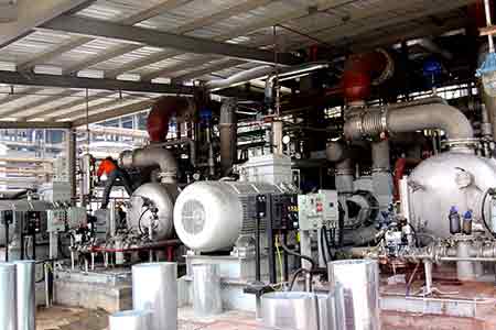 �ϸ���Һ���û�������֦��������ʹ���ֳ�